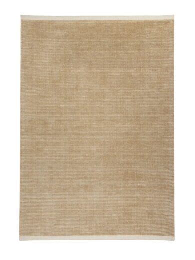 Beige textured area rug with a fine woven pattern and light neutral border, rectangular shape, minimalist design for home decor.